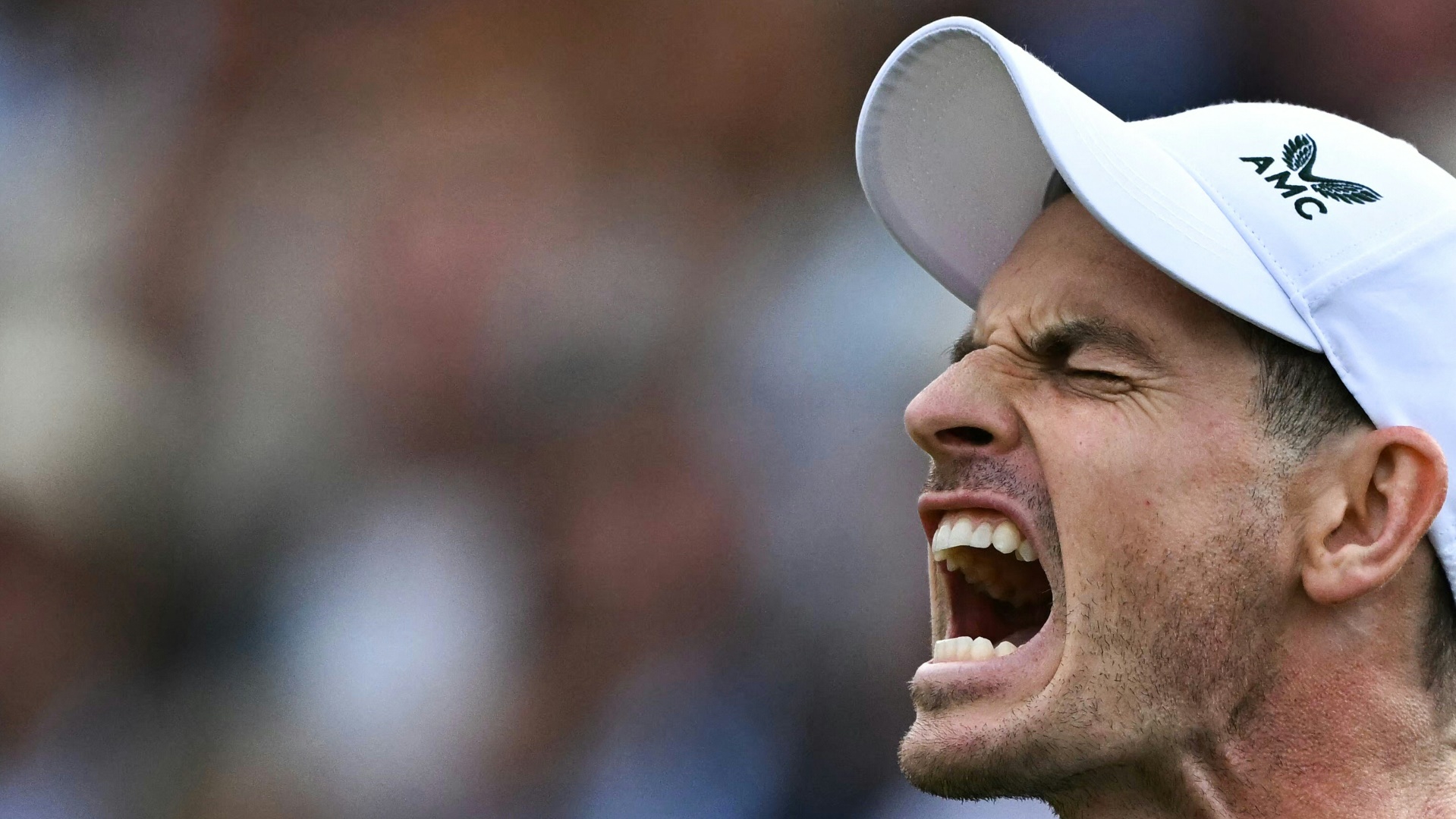 1000 Tour-Matches: Andy Murray