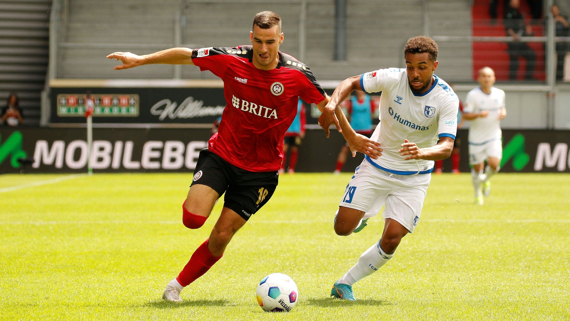 Punkteteilung: Wiesbaden und Magdeburg trennen sich 1:1