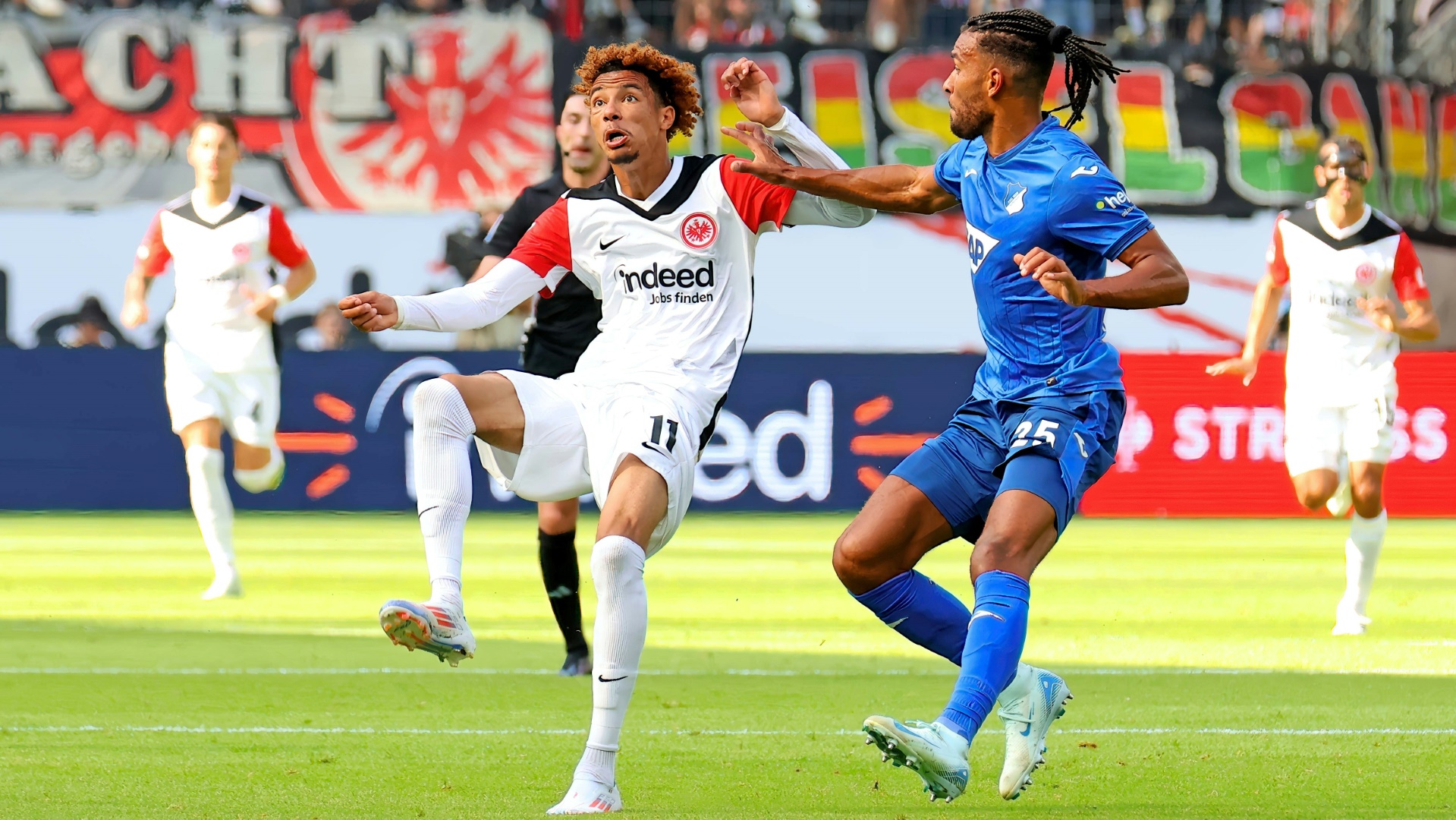 Frankfurt und Hoffenheim duellieren sich im Waldstadion